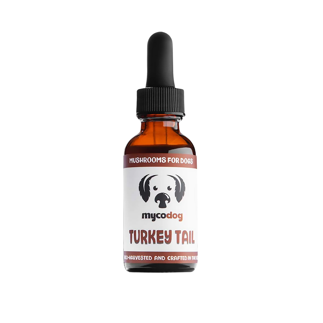 MycoDog Turkey Tail mushrooms for dogs turkey tail mushroom extract for dogs pets
